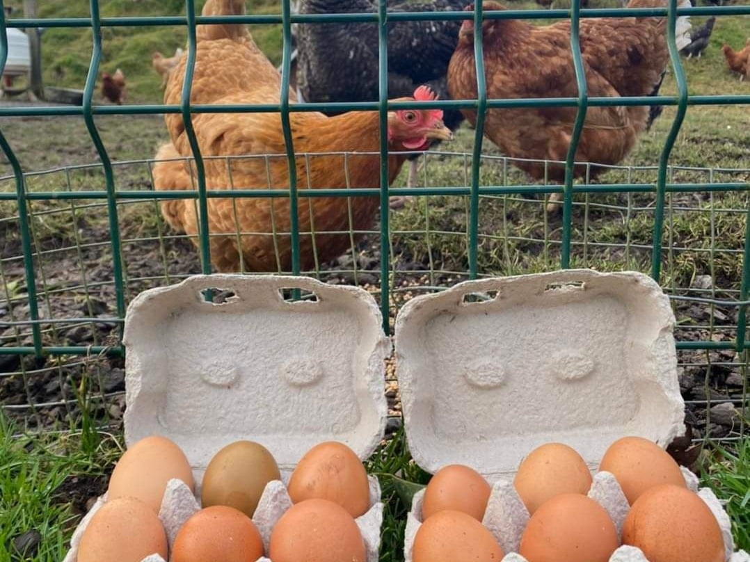 Breakfast Is Served