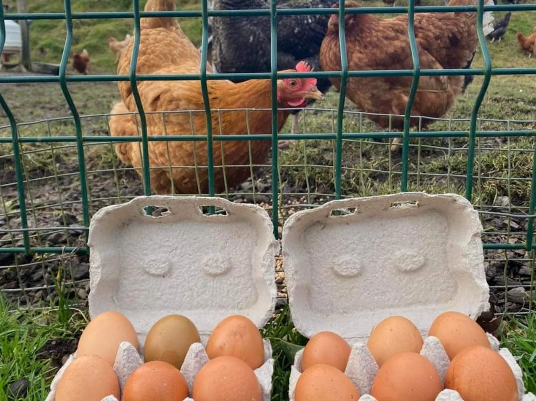 Breakfast Is Served